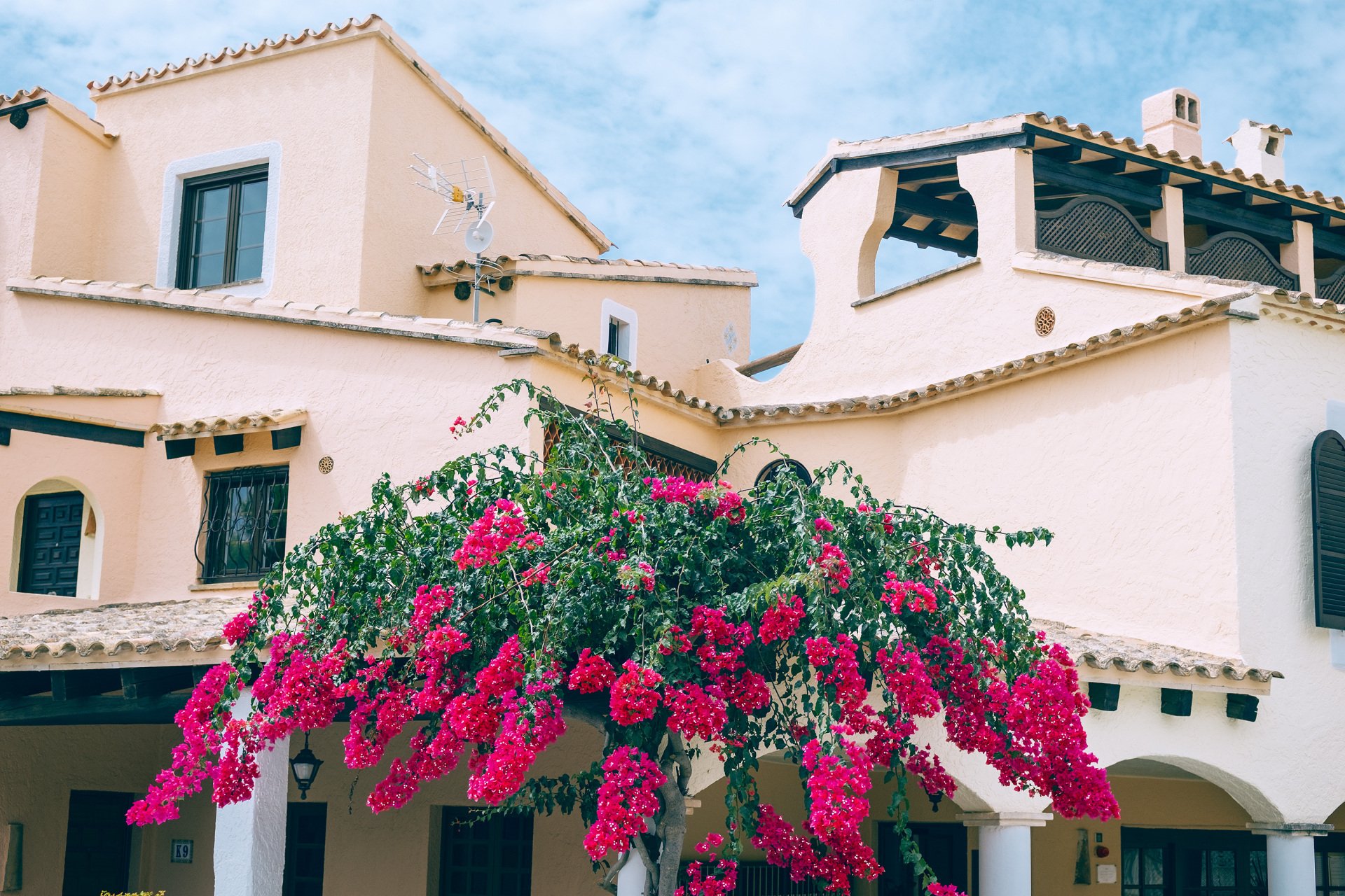 Edificio de fachadas claras con tejados de teja, porche con columnas, terraza cubierta con vigas oscuras y una planta de flores fucsias en primer plano.